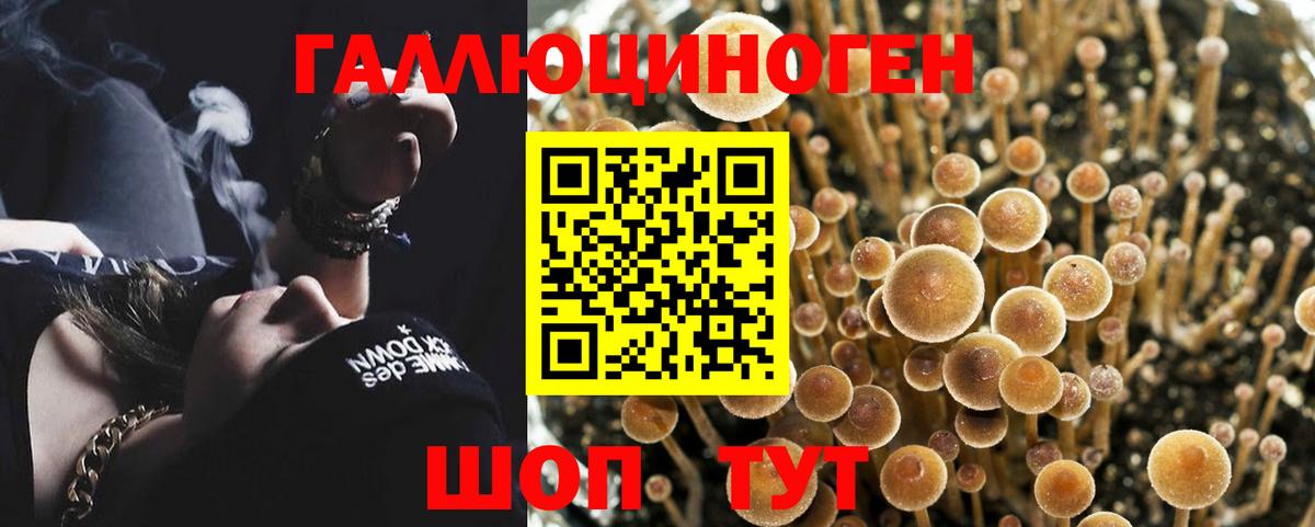 Галлюциногенные грибы Magic Shrooms  Галлюциногенные грибы прущие грибы  что такое наркотик  Вход с VPN  Дивногорск 